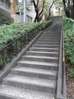 Tv_20091108_15