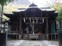 Tv_20091108_17