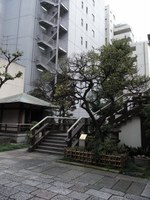 Tv_20091108_21