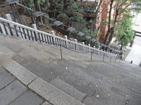 Tv_20091108_27