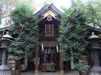 Tv_20091108_28