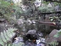 Tv_20091108_30