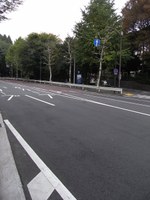 Tv_20091108_31