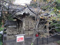 Tv_20091108_33
