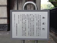 Tv_20091108_35