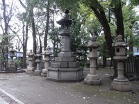 Tv_20091114_07