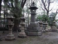 Tv_20091114_08