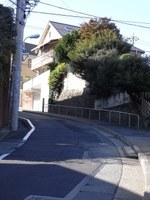 Tv_20091115_00