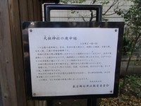 Tv_20091115_08
