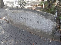 Tv_20091115_10