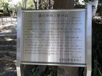 Tv_20091115_12