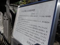 Tv_20091115_18