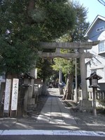 Tv_20091115_25