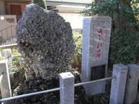 Tv_20091115_26