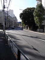 Tv_20091115_30