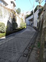 Tv_20091206_07