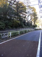 Tv_20091206_10