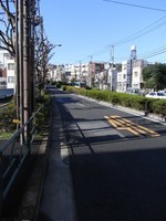 Tv_20091206_12
