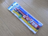 20100124_2